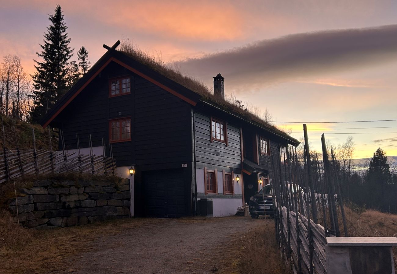 Cabin in Hol - Fjellro