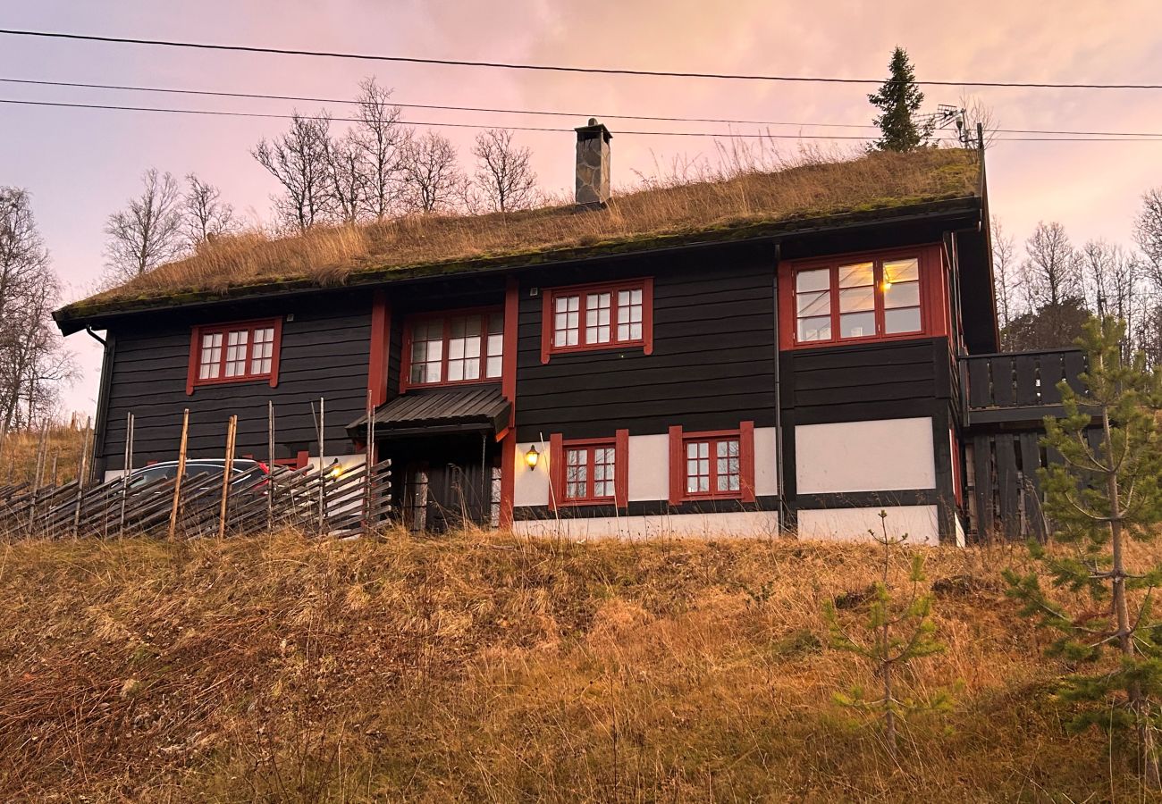 Cabin in Hol - Fjellro