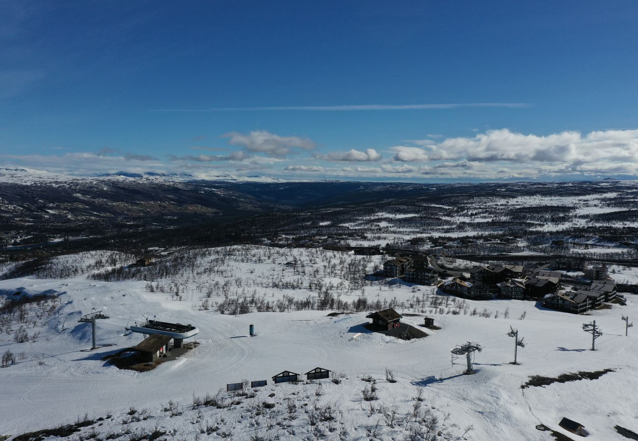 Apartment in Hol - Kikut Panorama