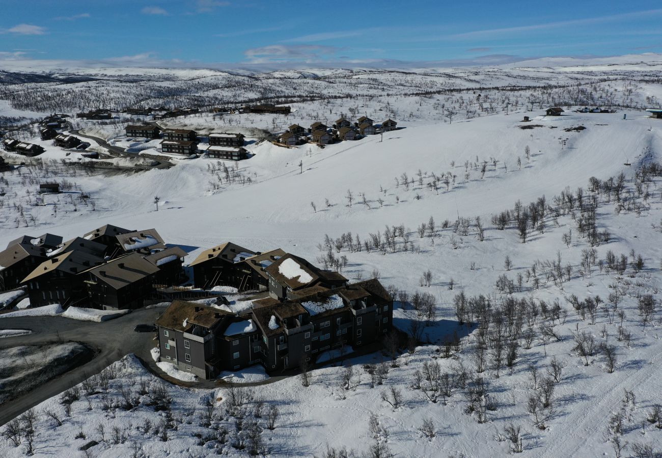 Apartment in Hol - Kikut Panorama