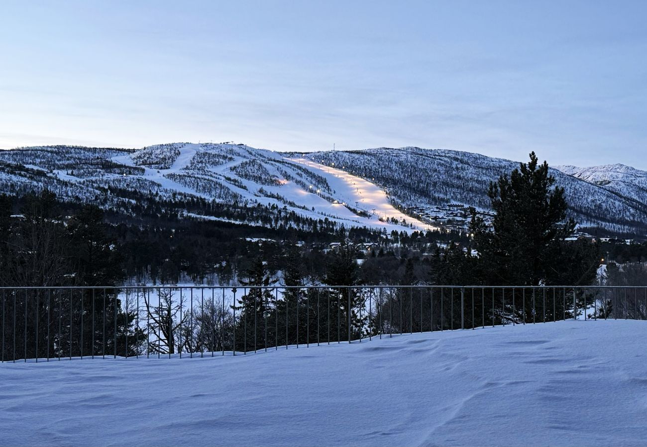 Apartment in Hol - Charming apartment with excellent location in Geilo