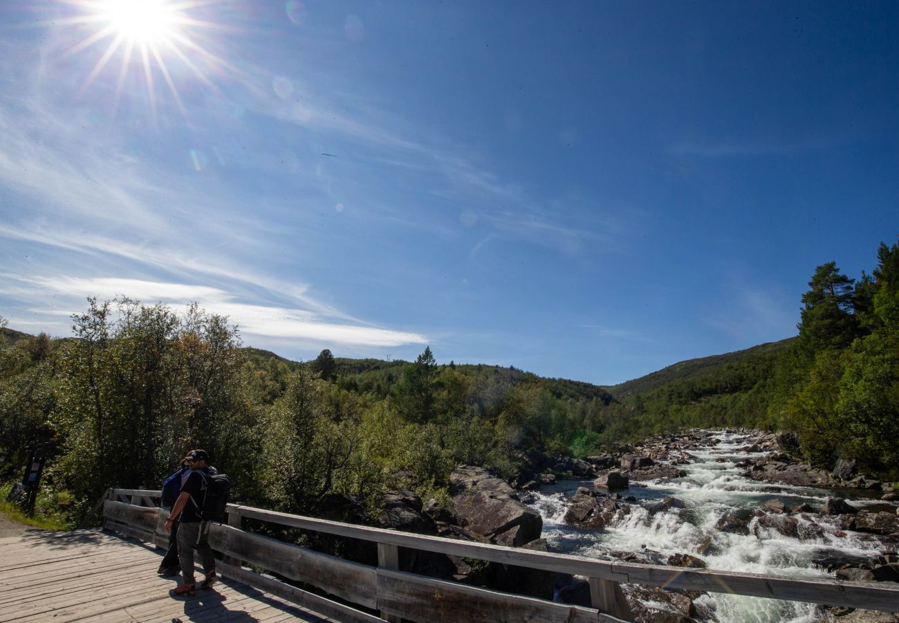 Cabin in Hol - Exclusive and spacious mountain lodge in Geilo