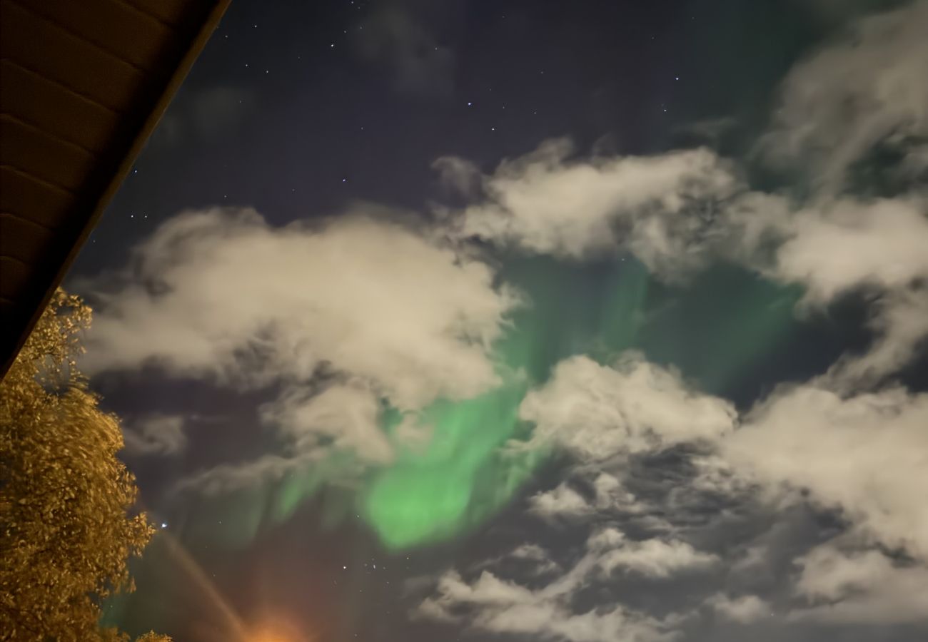 Apartment in Tromsø - Lys og fin leilighet sentralt i Tromsø