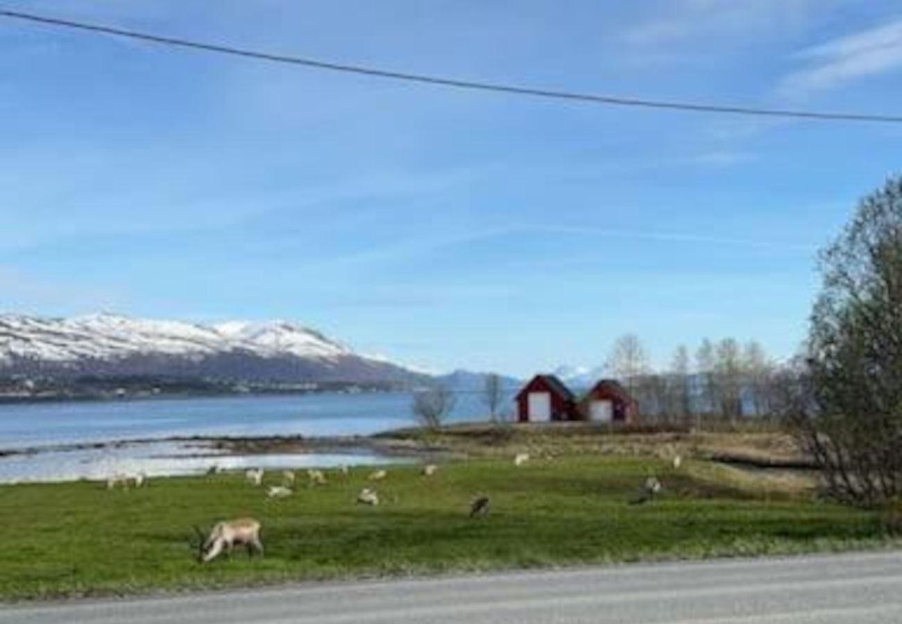 Apartment in Tromsø - Lys og fin leilighet sentralt i Tromsø