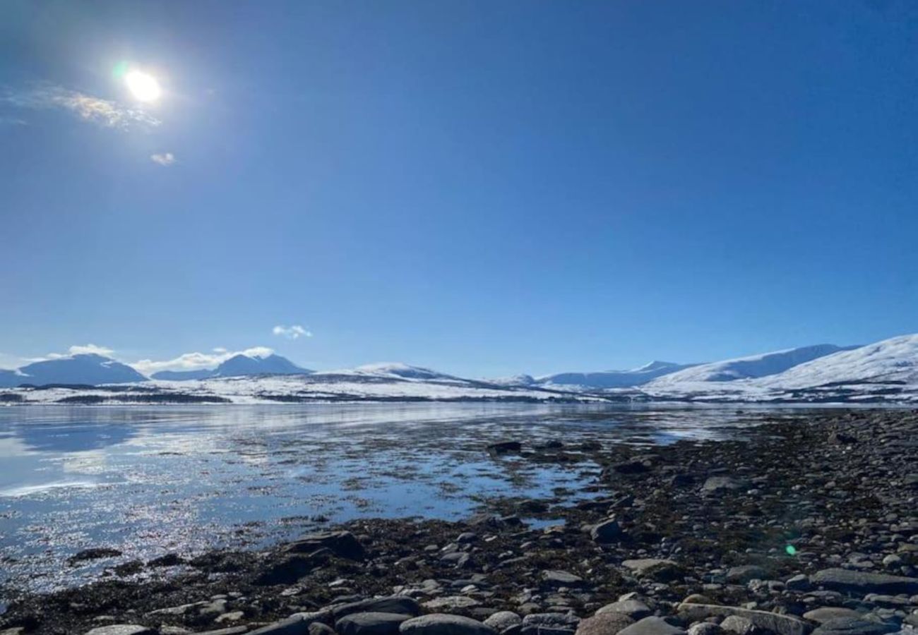 Apartment in Tromsø - Lys og fin leilighet sentralt i Tromsø