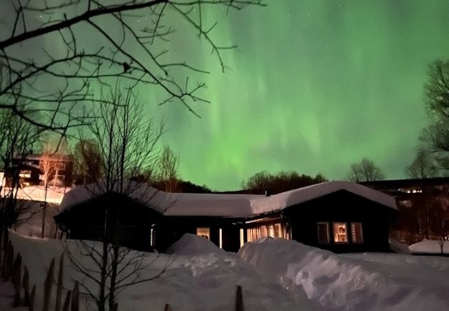  in Hol - Charming and cozy cabin in Geilo