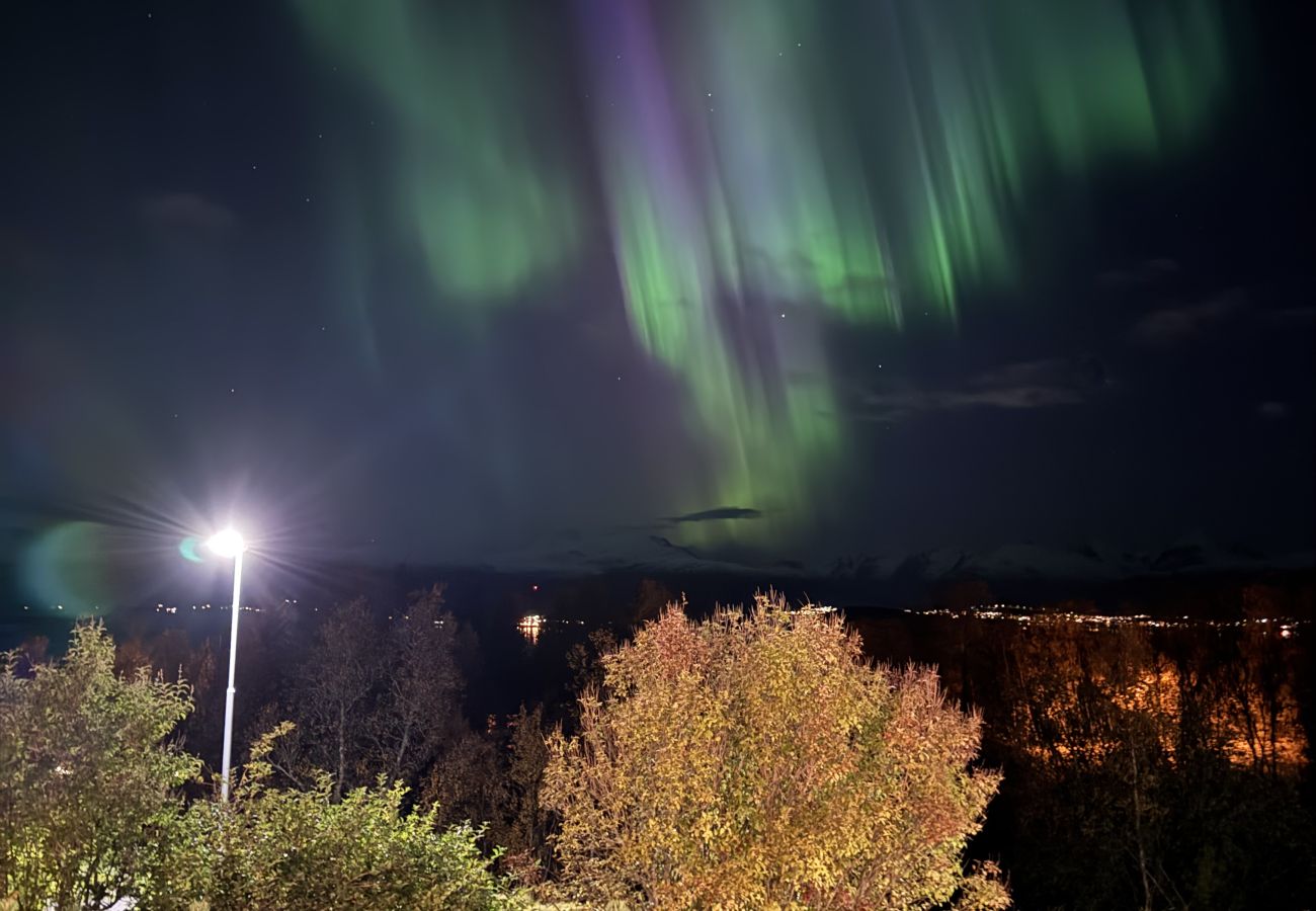 House in Tromsø - Northern Light Villa in Tromsø