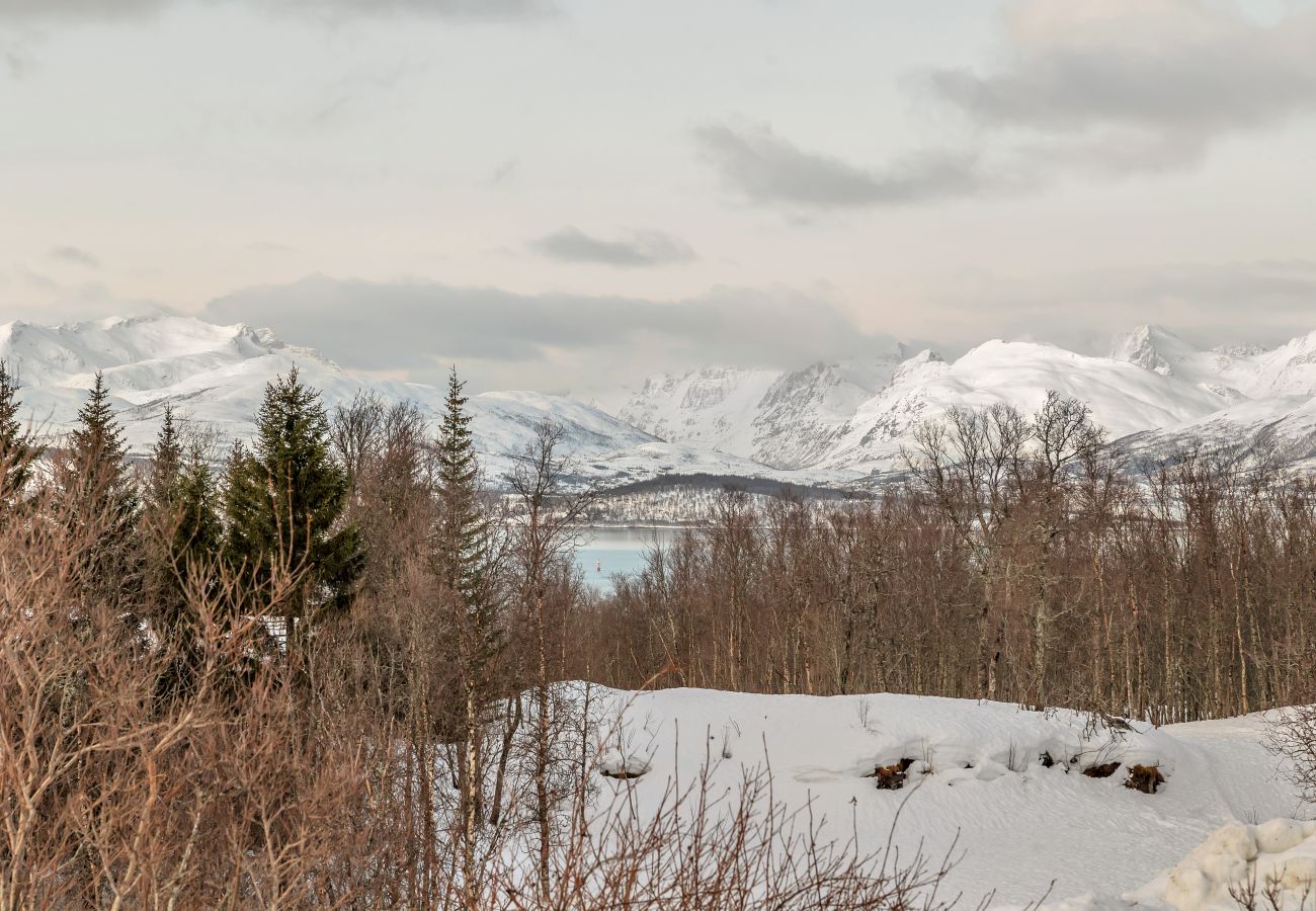 House in Tromsø - Northern Light Villa in Tromsø