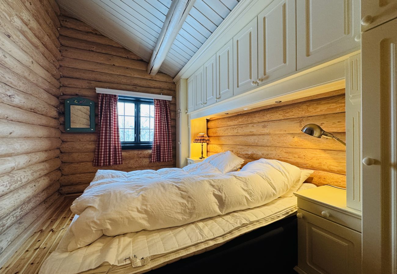 Cabin in Hol - Large, cozy, and spacious cabin in Geilo