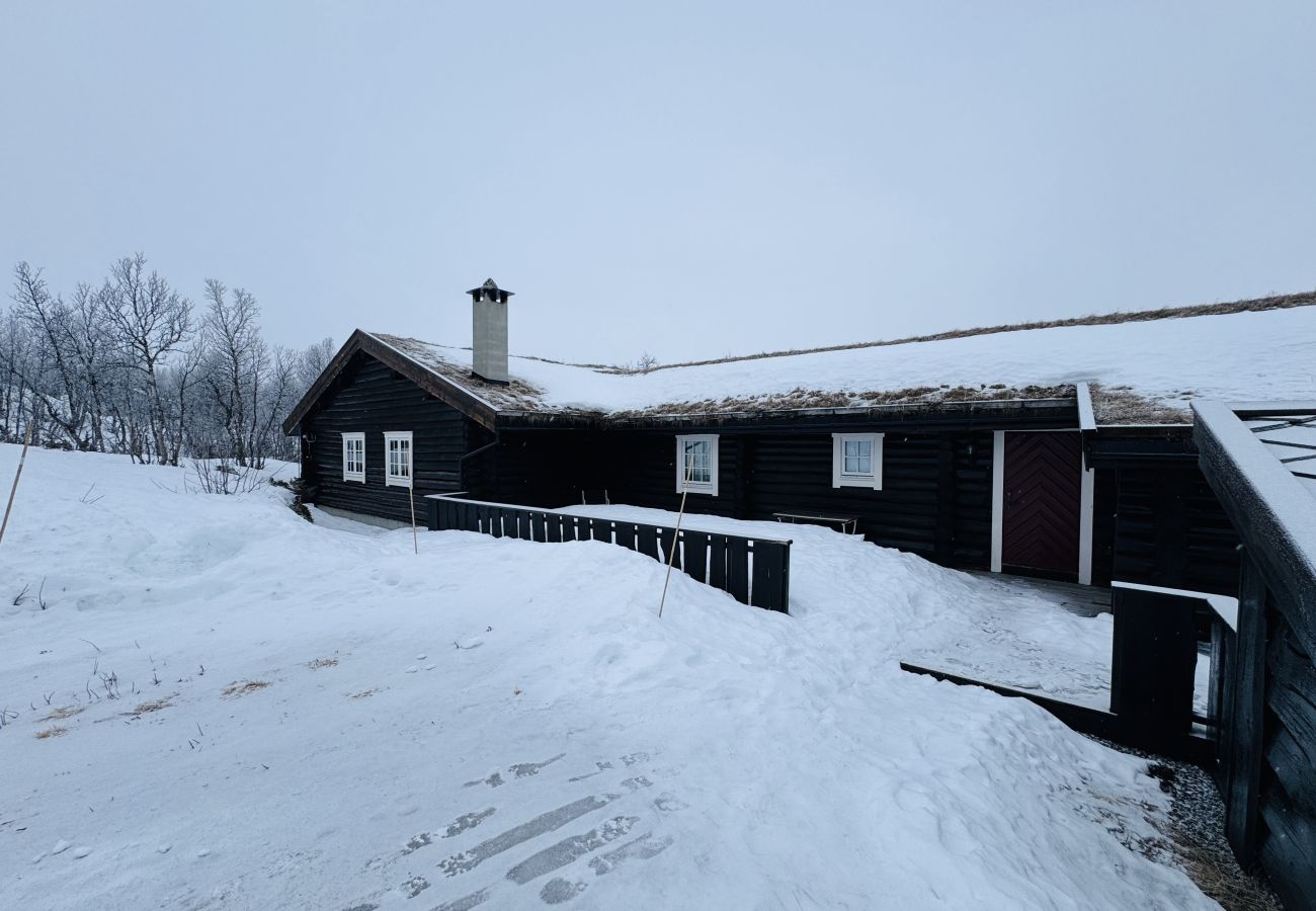 Cabin in Hol - Large, cozy, and spacious cabin in Geilo