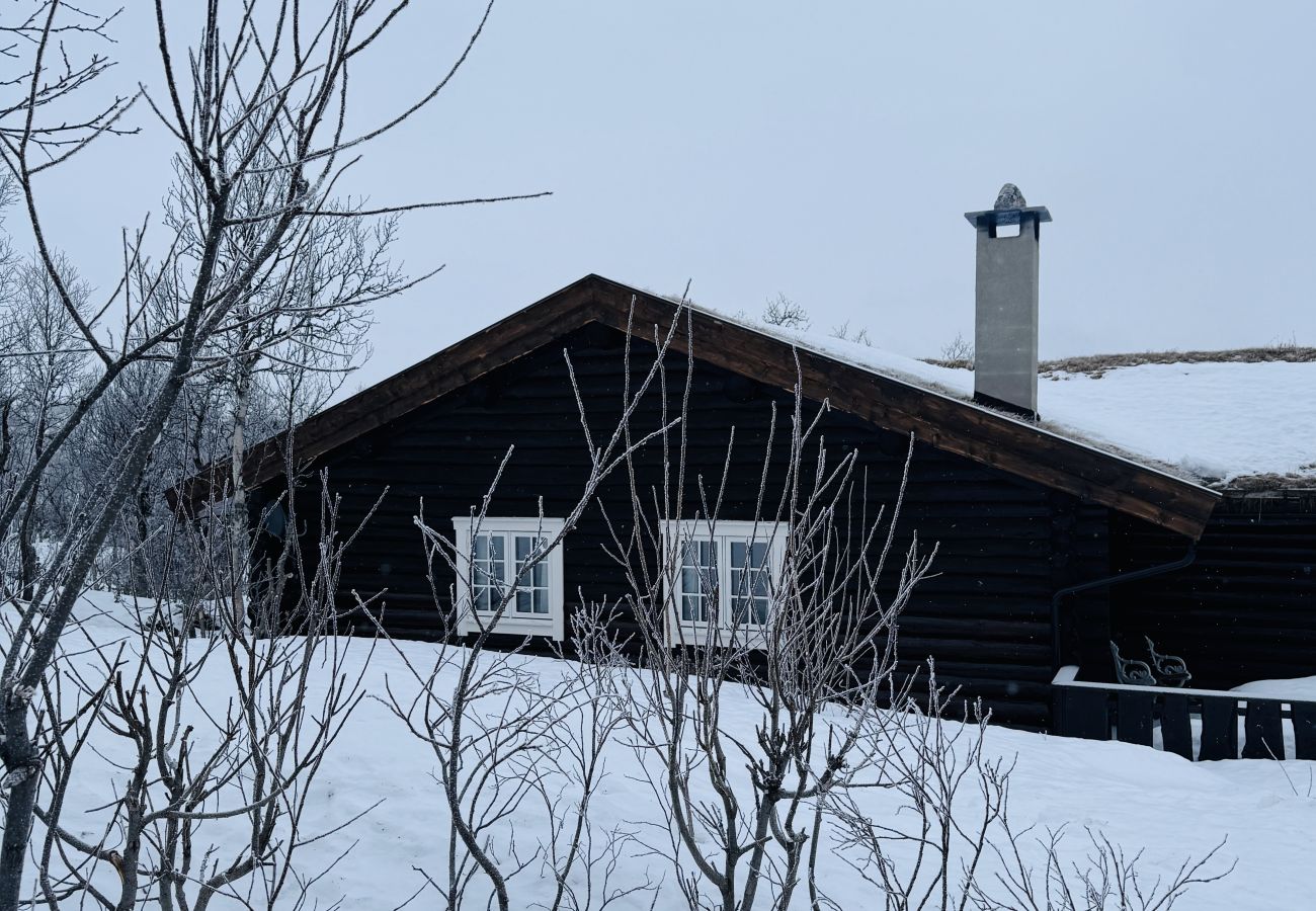 Cabin in Hol - Large, cozy, and spacious cabin in Geilo