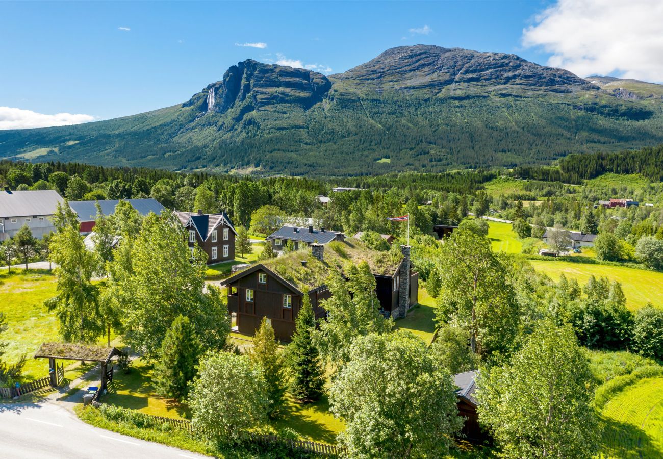 Hus i Hemsedal - Stort hus med terrasser og badstue, Hemsedal