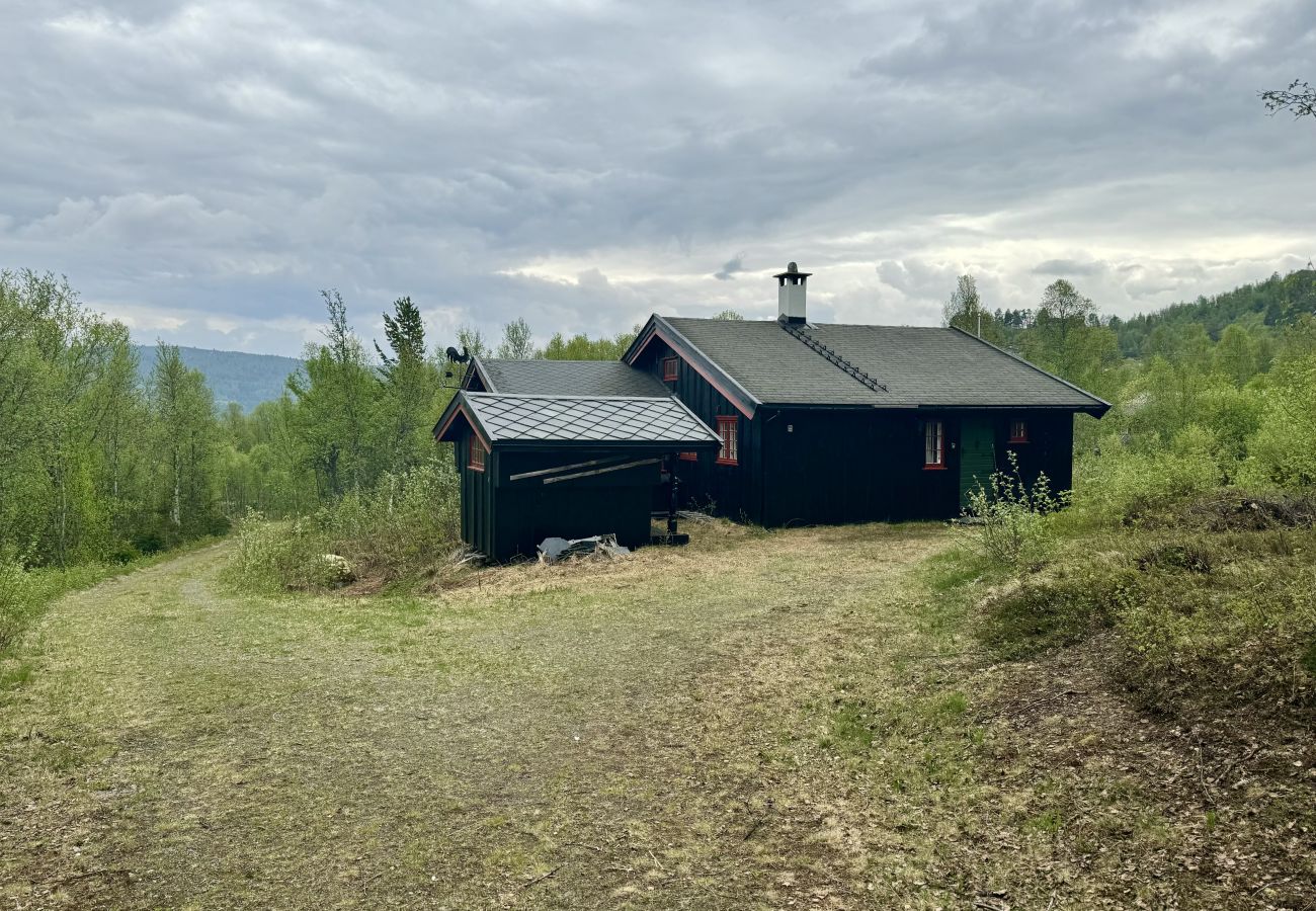 Hytte i Hol - Koselig familiehytte på Bardøla