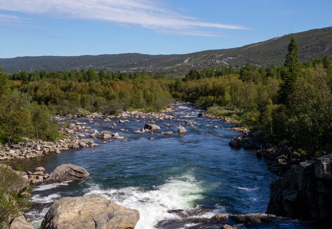 Leilighet i Hol - Nybygget leilighet sentralt belliggende på Geilo