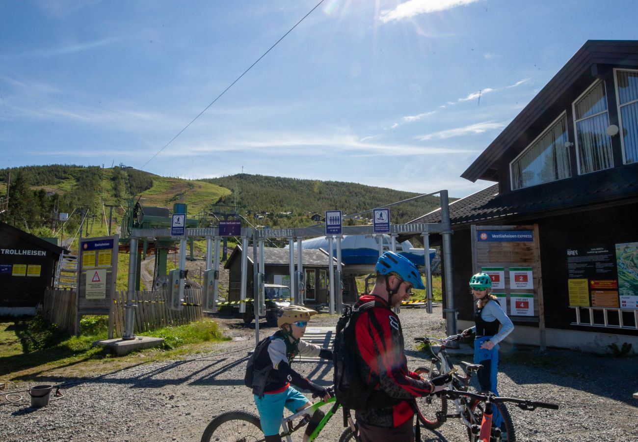 Leilighet i Hol - Nybygget leilighet sentralt belliggende på Geilo