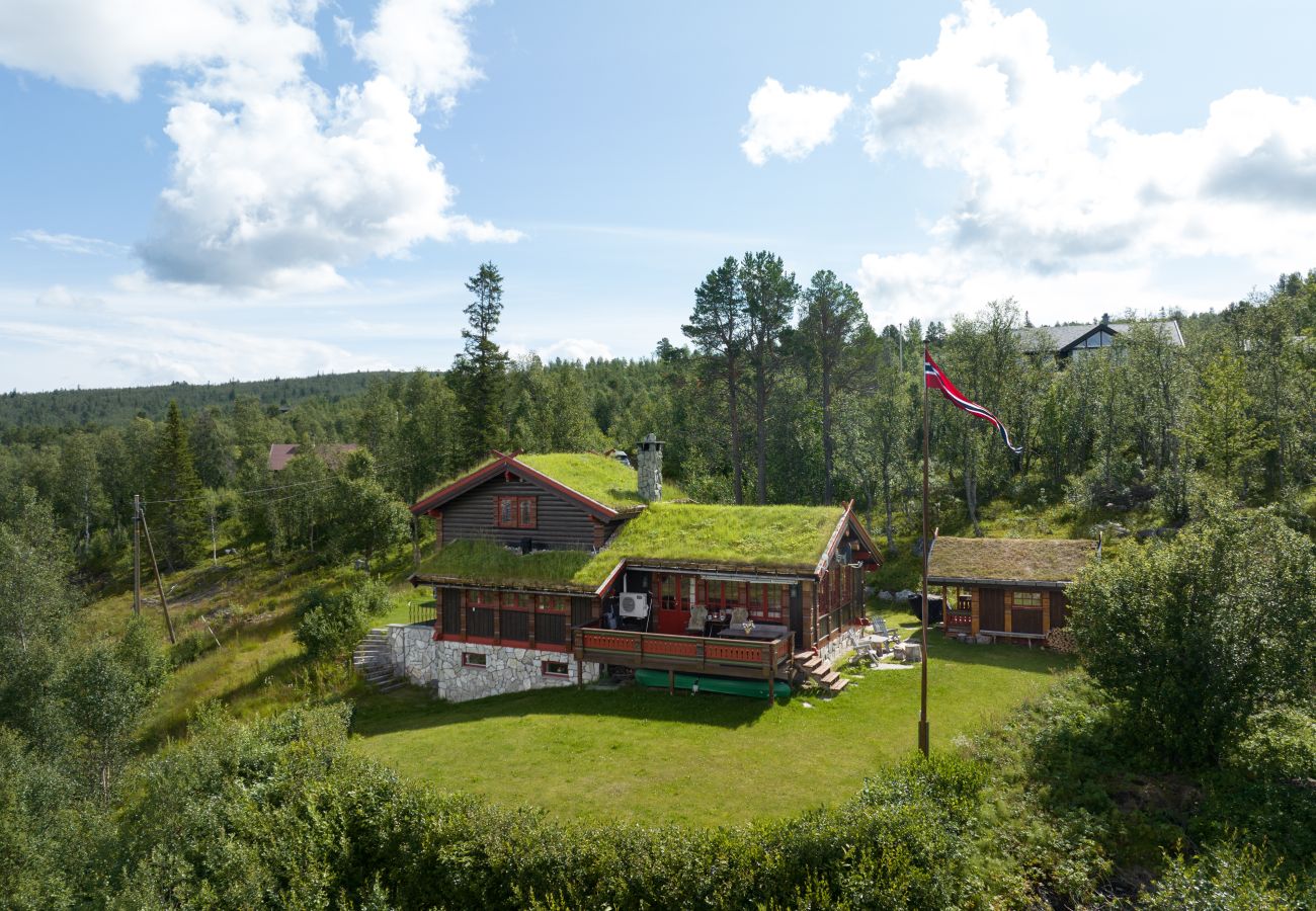 Hytte i Hol - Nylig oppgradert stor vakker hytte med fantastisk utsikt i Geilo
