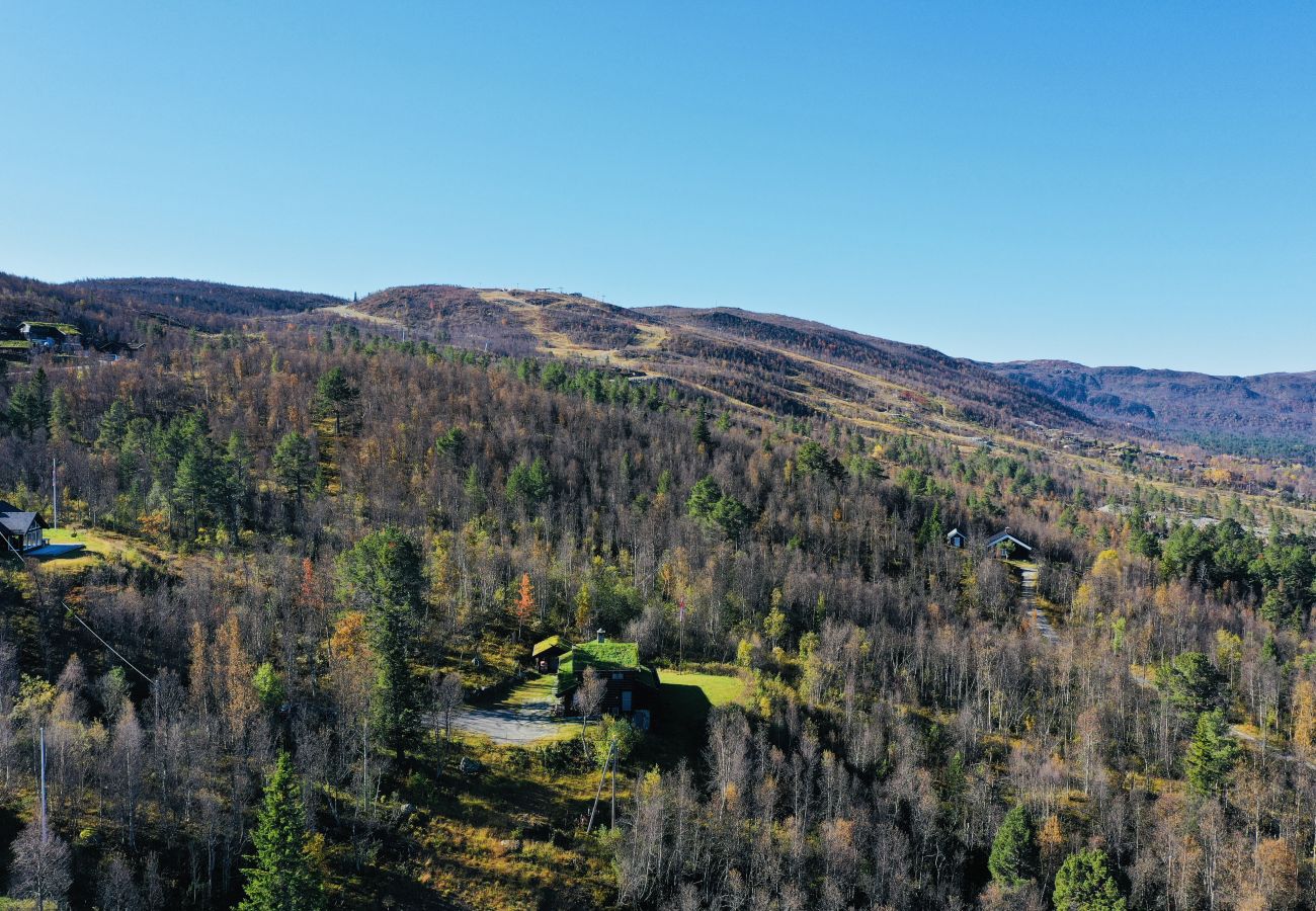 Hytte i Hol - Nylig oppgradert stor vakker hytte med fantastisk utsikt i Geilo