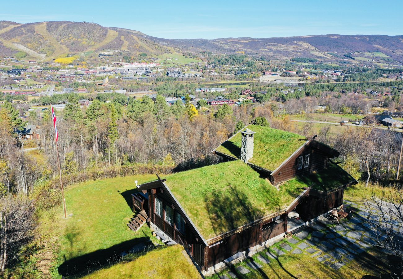 Hytte i Hol - Nylig oppgradert stor vakker hytte med fantastisk utsikt i Geilo