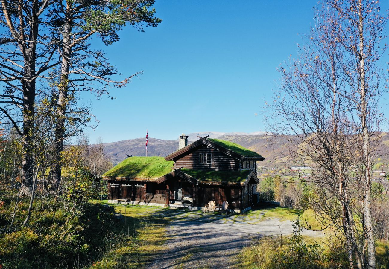 Hytte i Hol - Nylig oppgradert stor vakker hytte med fantastisk utsikt i Geilo