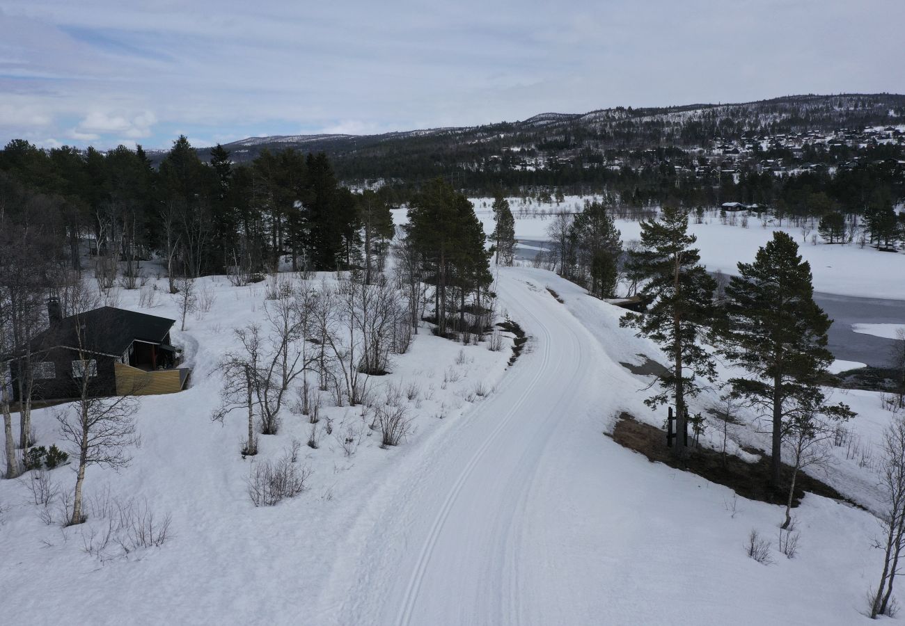 Hytte i Hol - Koselig hytte med gangavstand til sentrum