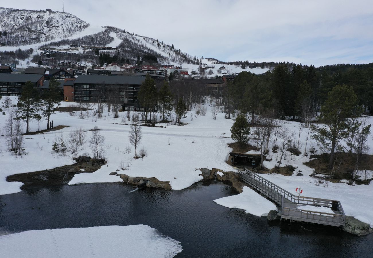 Hytte i Hol - Koselig hytte med gangavstand til sentrum