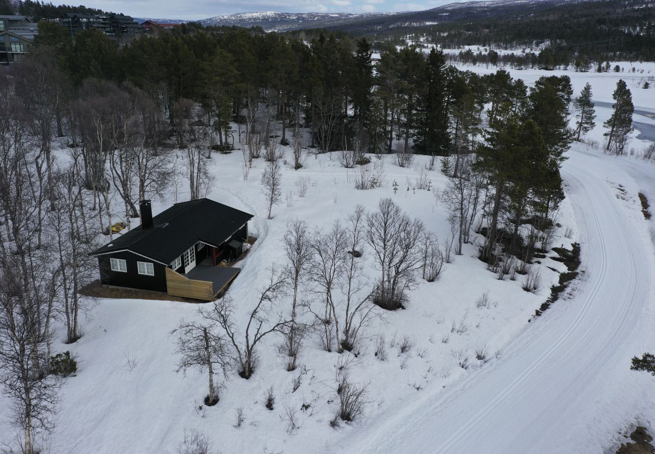 Hytte i Hol - Koselig hytte med gangavstand til sentrum