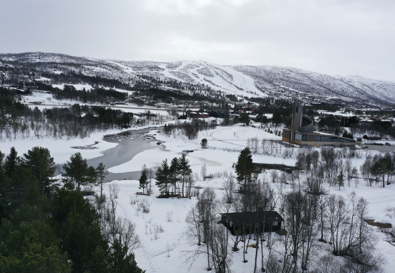 Hytte i Hol - Koselig hytte med gangavstand til sentrum