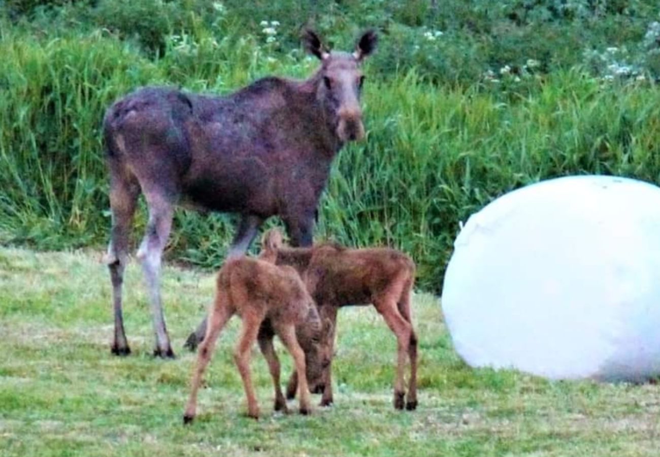 Leilighet i Gol - Familievennlig leilighet til leie på Golsfjellet