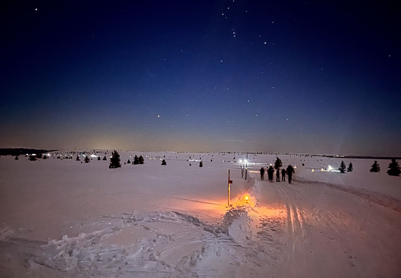 Hytte i Gol - Familieferie på Golsfjellet - koselig hytte til leie