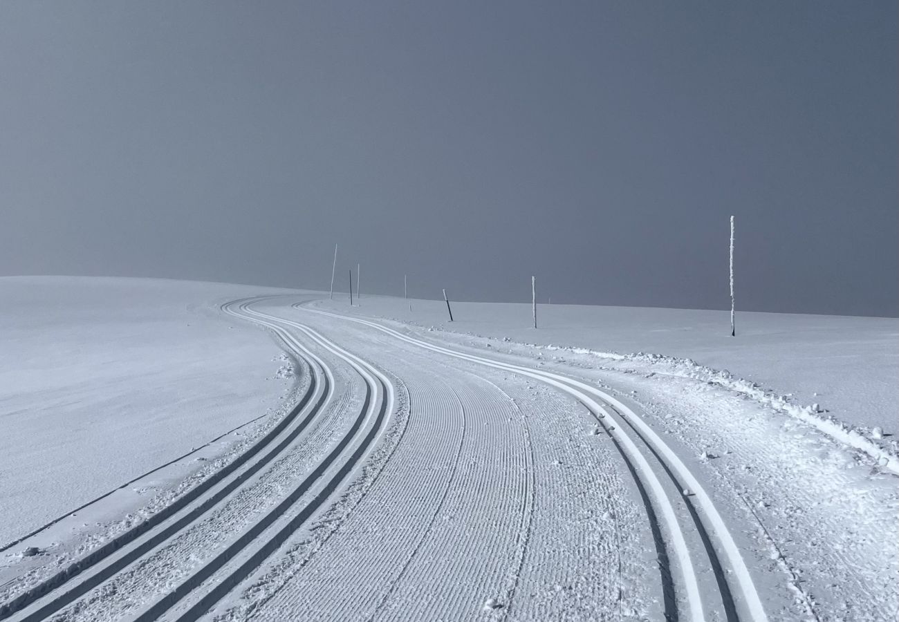 Hytte i Gol - Familieferie på Golsfjellet - koselig hytte til leie