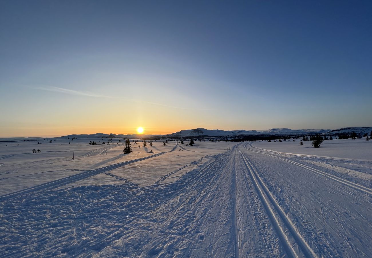 Hytte i Gol - Familieferie på Golsfjellet - koselig hytte til leie