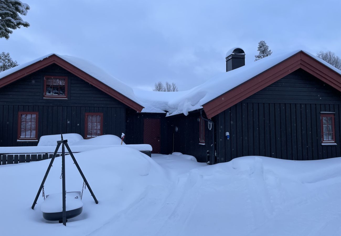 Hytte i Gol - Koselig hytte på Golsfjellet