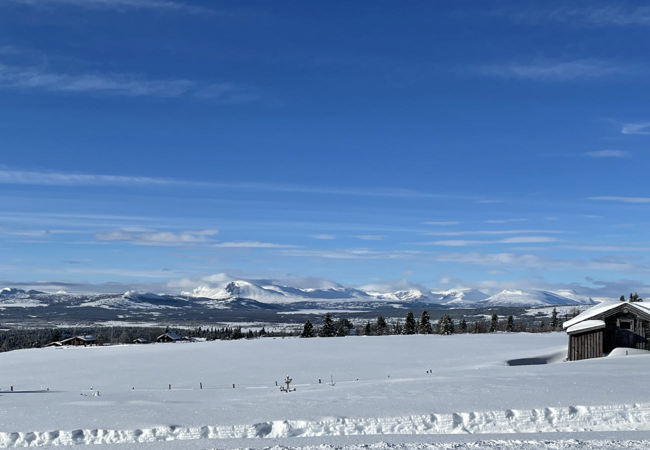 Hytte i Gol - Koselig hytte på Golsfjellet