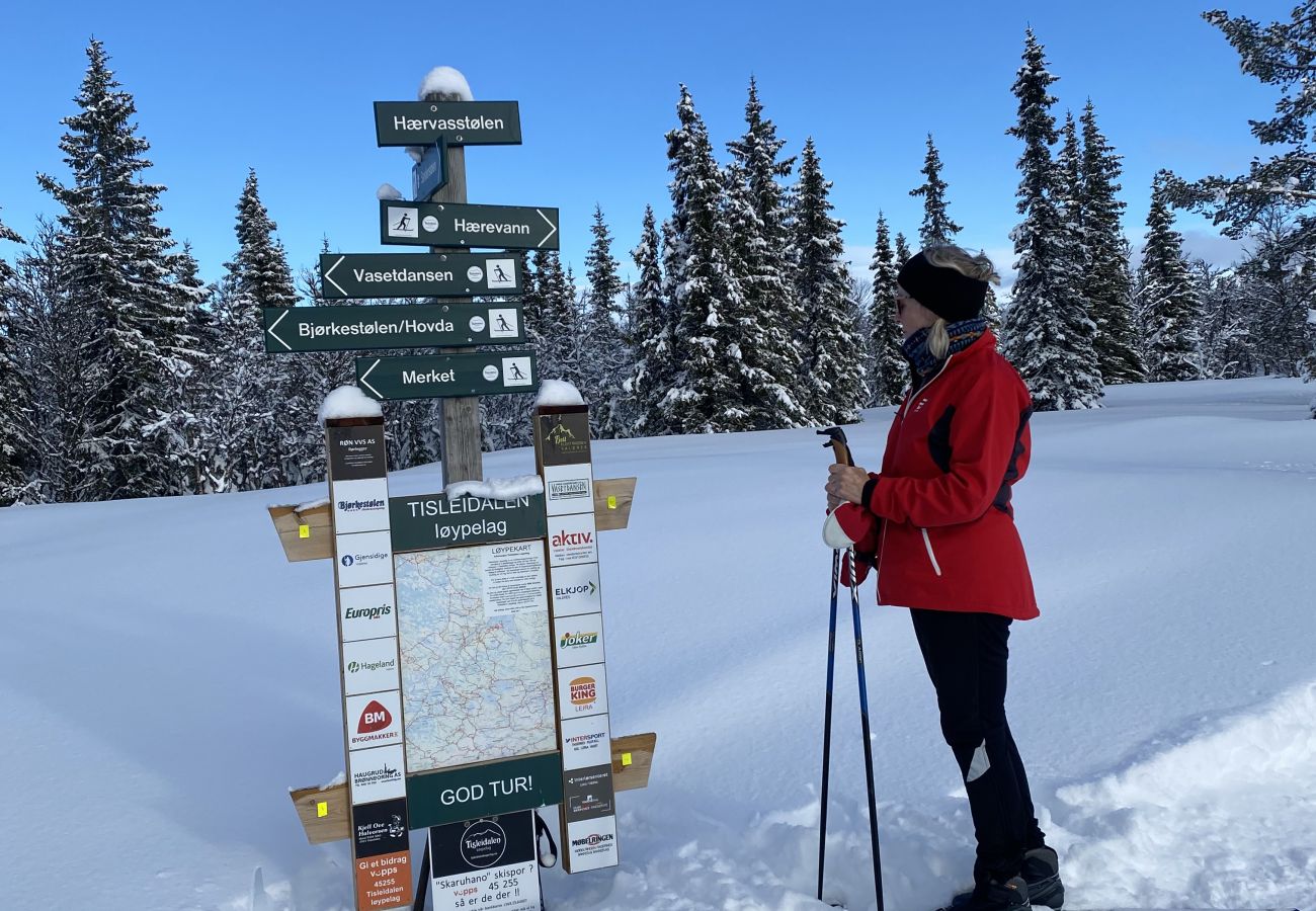 Hytte i Gol - Koselig hytte på Golsfjellet