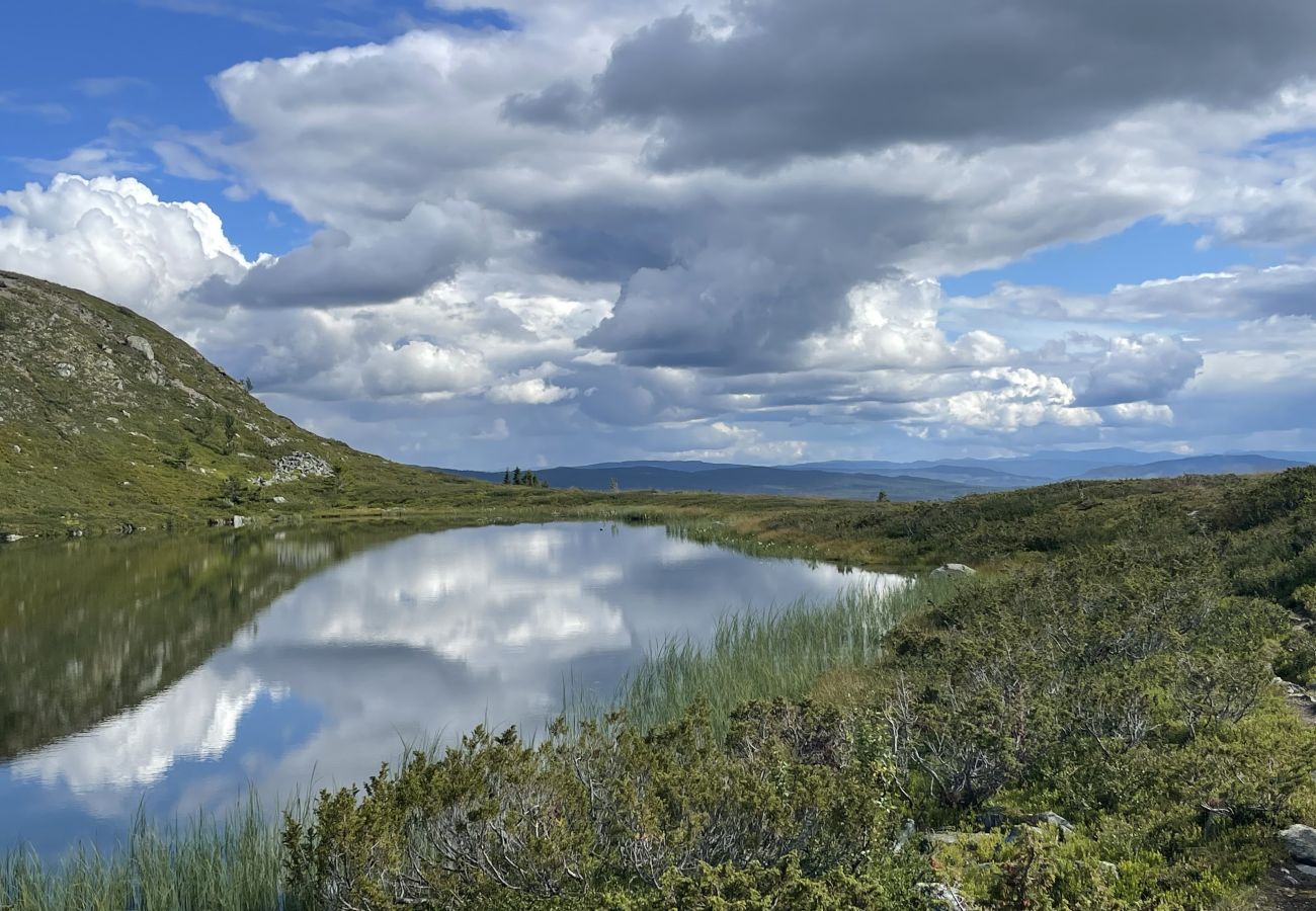 Hytte i Gol - Koselig hytte på Golsfjellet