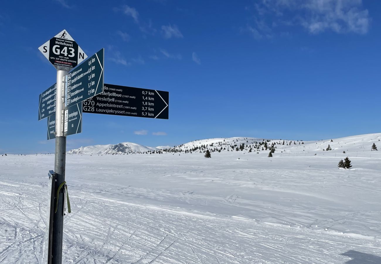 Hytte i Gol - Koselig hytte på Golsfjellet