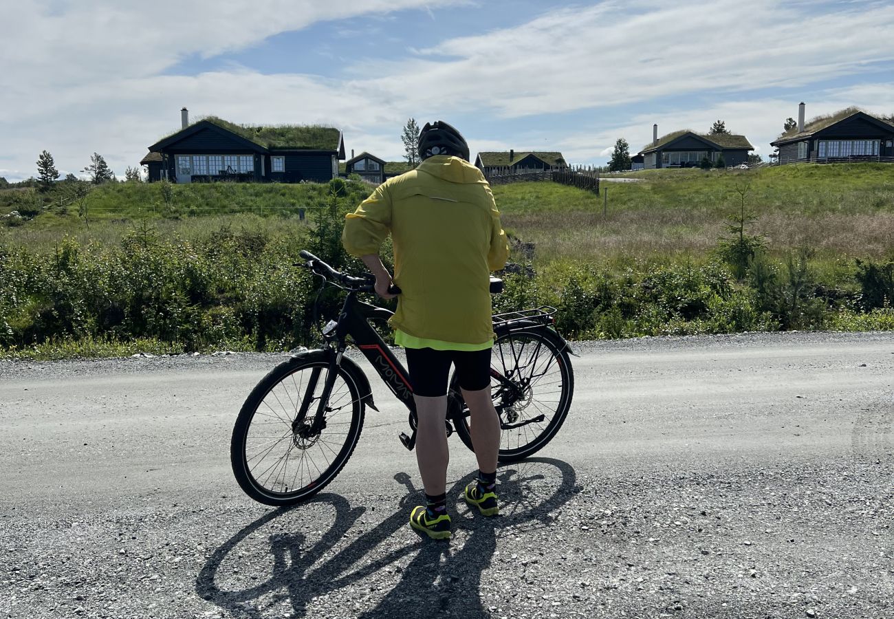 Hytte i Gol - Koselig hytte på Golsfjellet