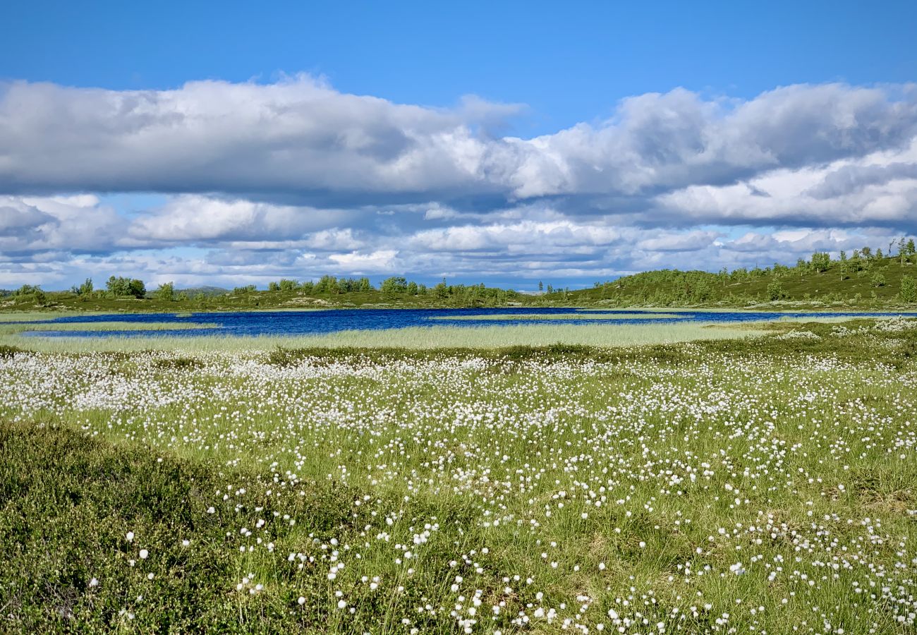 Hytte i Hol - Ny, koselig og komfortabel hytte på Geilo