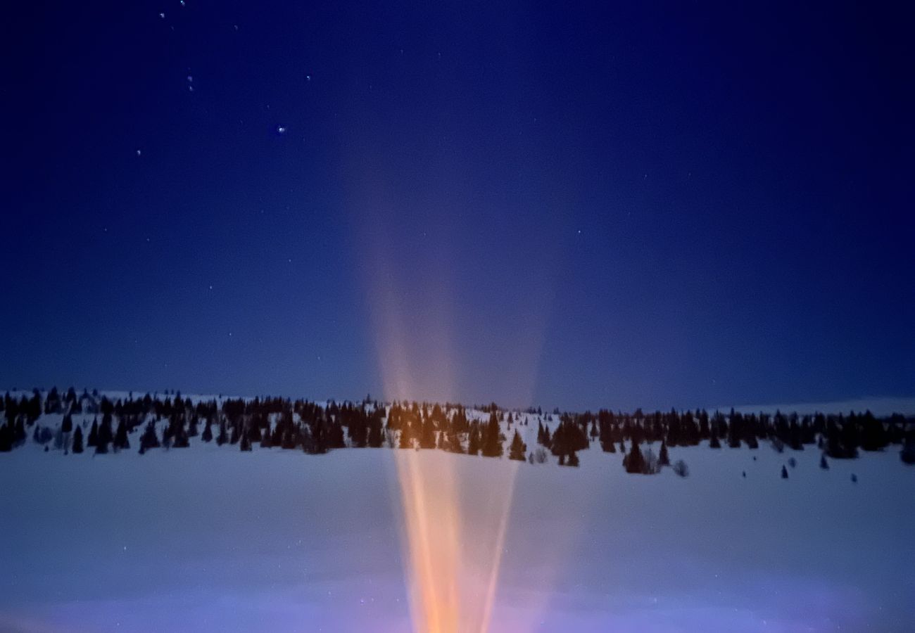 Leilighet i Gol - Koselig leilighet med ski in/ski out på Golsfjellet