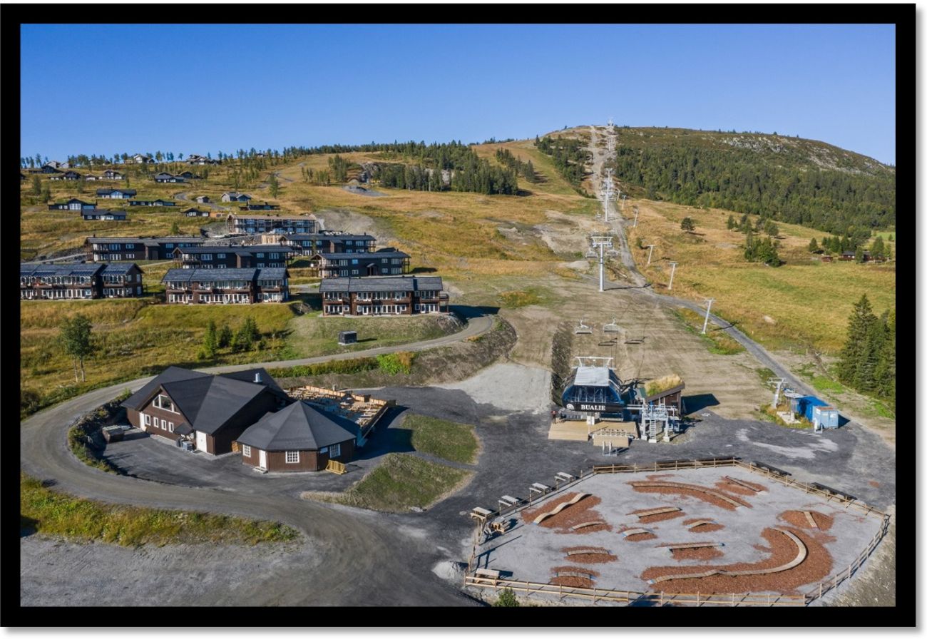 Leilighet i Gol - Koselig leilighet med ski in/ski out på Golsfjellet