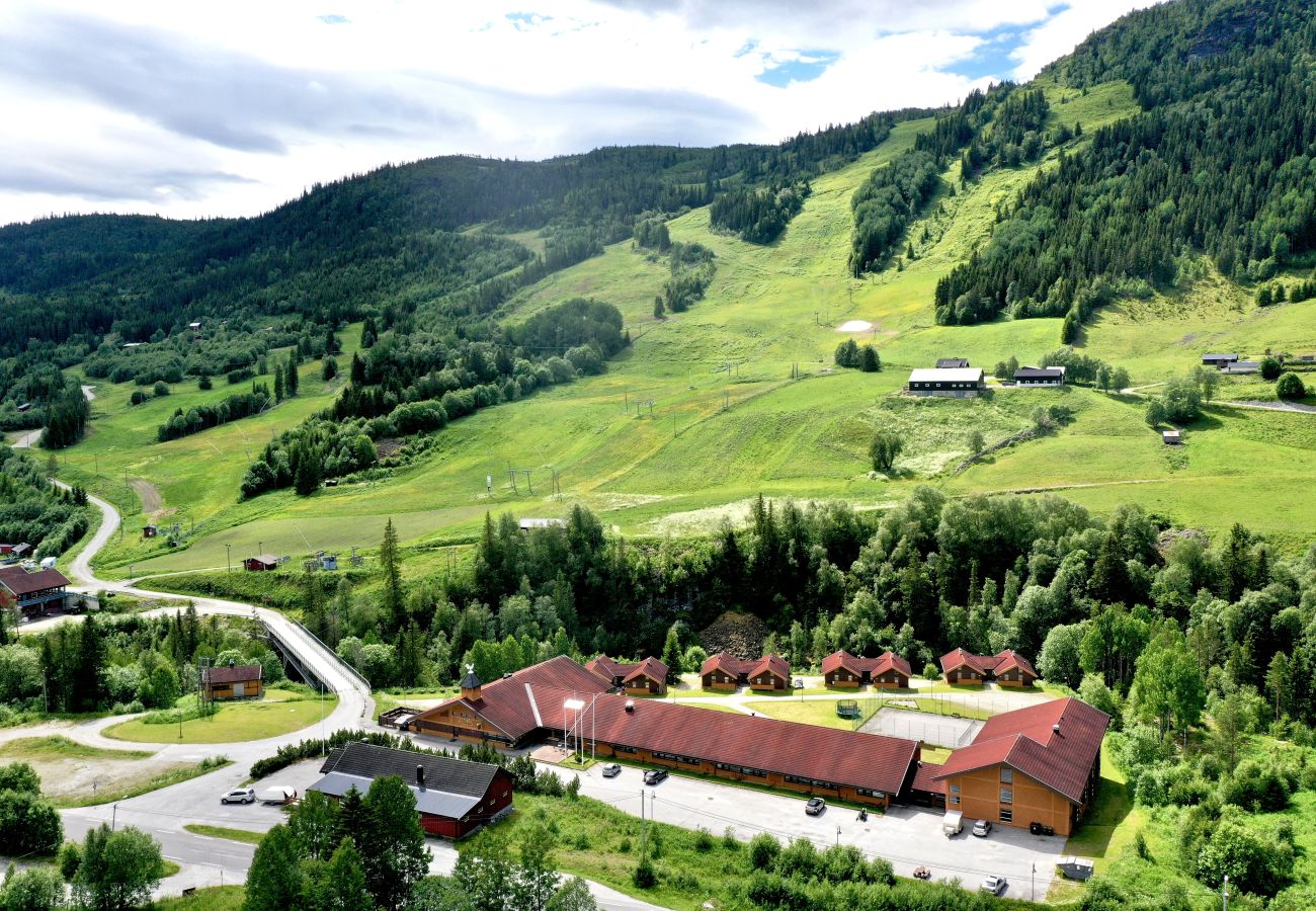 Leilighet i Ål - Familievennlig leilighet på Ål. 