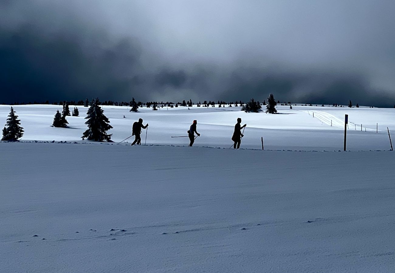 Hytte i Gol - Koselig familiehytte med fantastisk beliggenhet på Golsfjellet