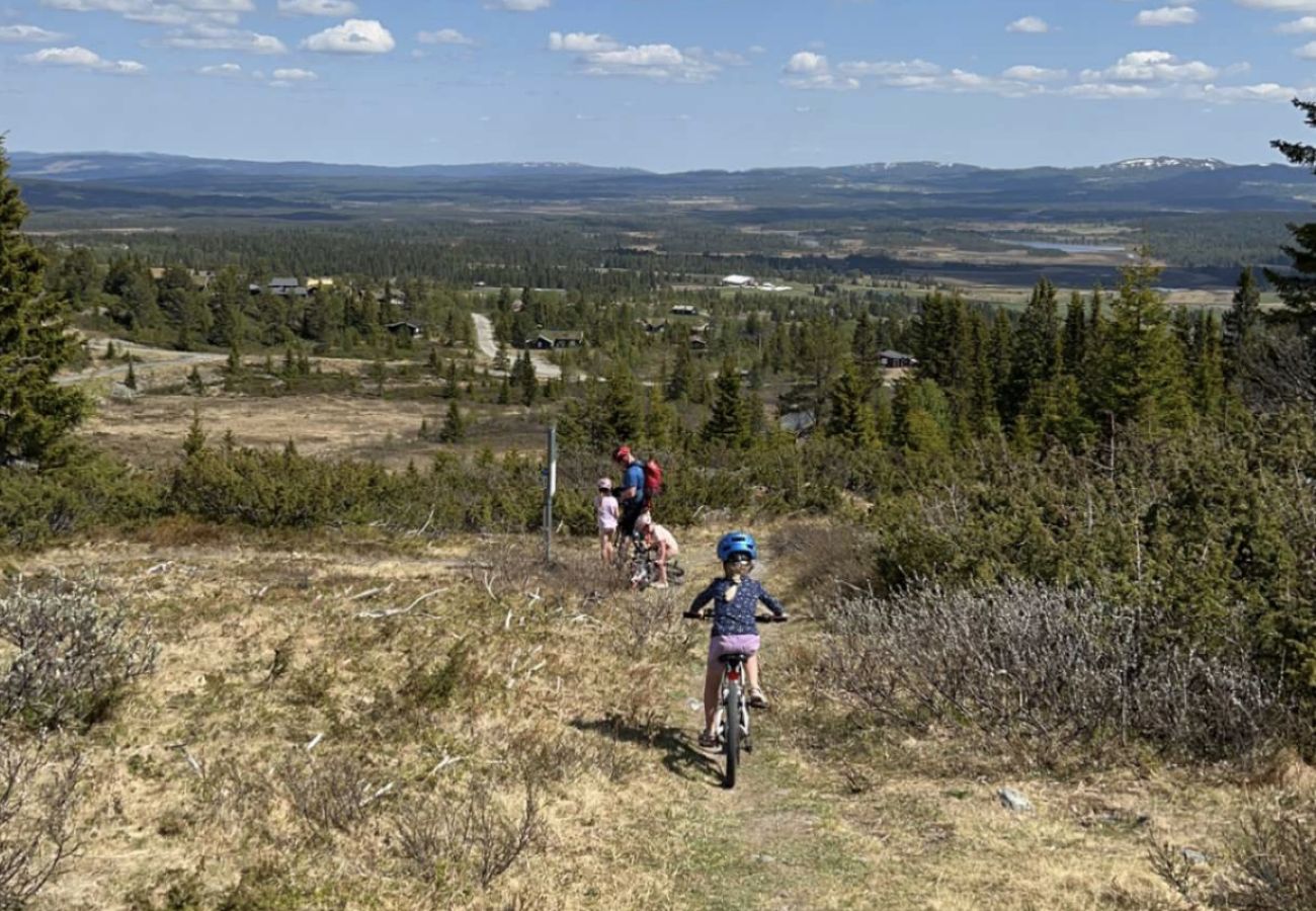 Hytte i Gol - Koselig familiehytte med fantastisk beliggenhet på Golsfjellet