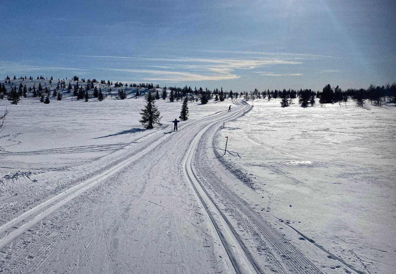 Hytte i Gol - Koselig familiehytte med fantastisk beliggenhet på Golsfjellet