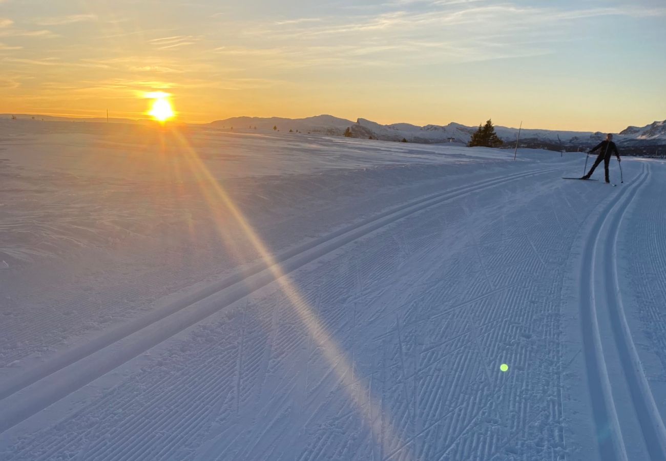 Hytte i Gol - Koselig familiehytte med fantastisk beliggenhet på Golsfjellet