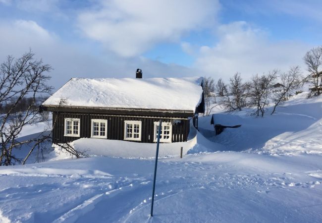  i Hol -  Charming cabin in beautiful Ustaoset