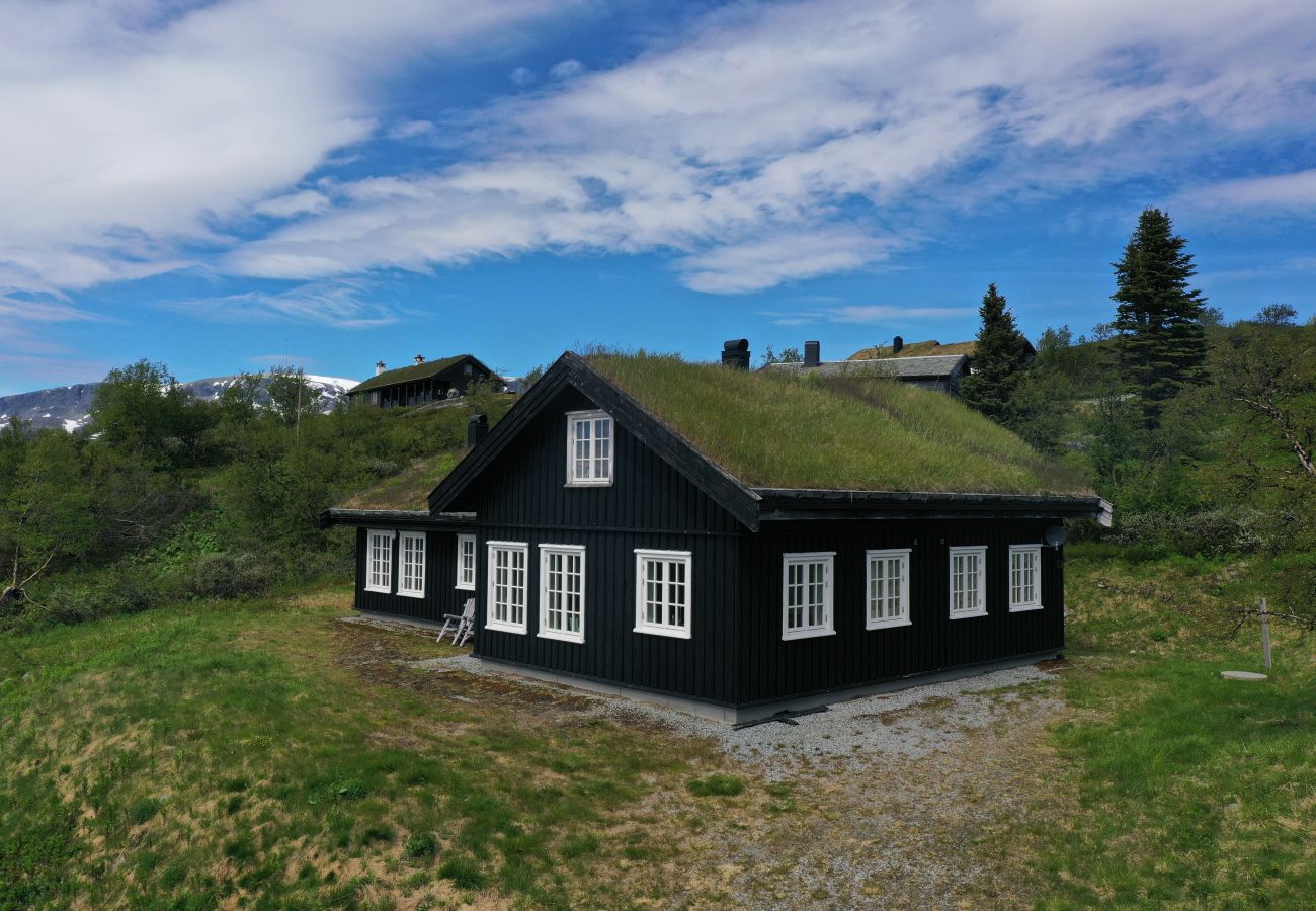 Hytte i Hol -  Charming cabin in beautiful Ustaoset