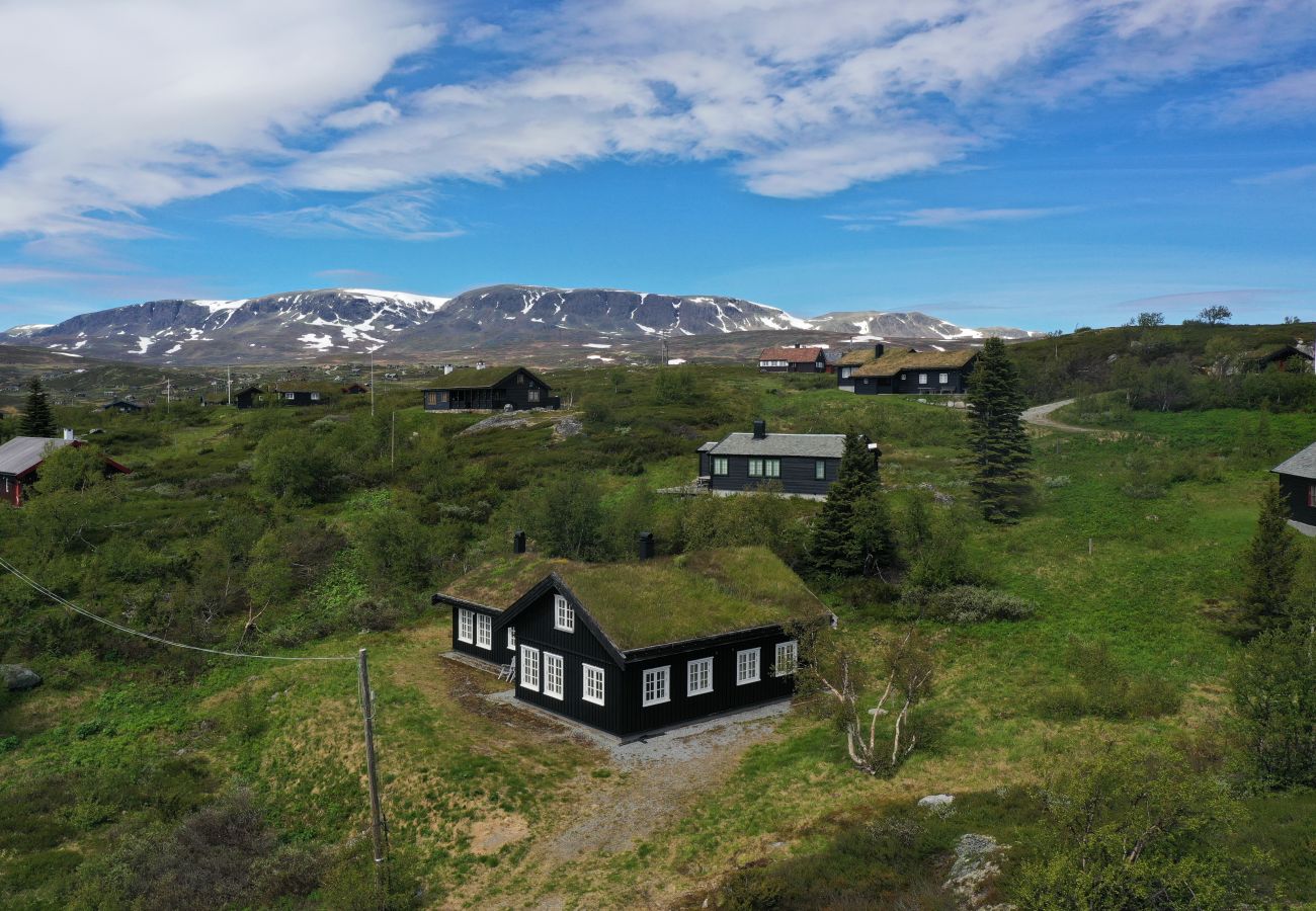 Hytte i Hol -  Charming cabin in beautiful Ustaoset