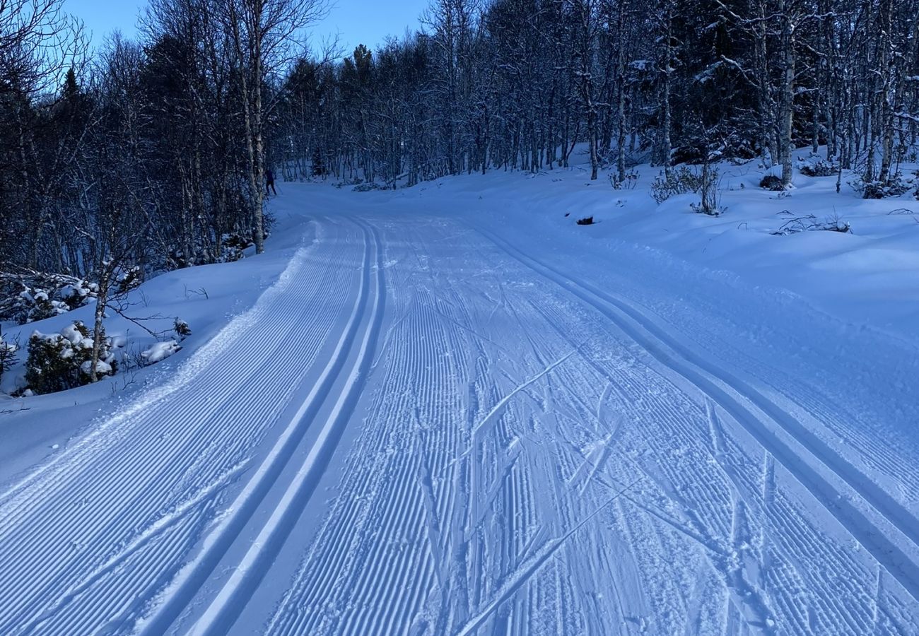 Hytte i Gol - Modern, cozy and family-friendly cabin on Golsfjellet