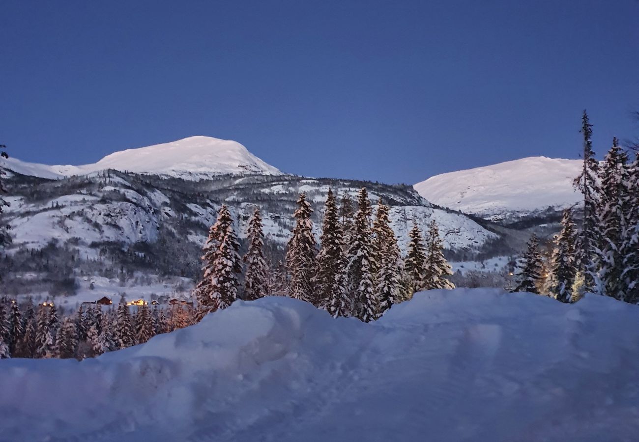 Leilighet i Hemsedal - Romslig leilighet nær Hemsedal skisenter